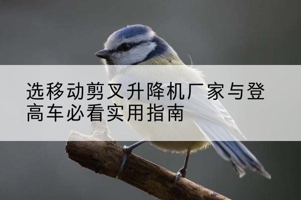 临清电动升降机厂家-选移动剪叉升降机厂家与登高车必看实用指南