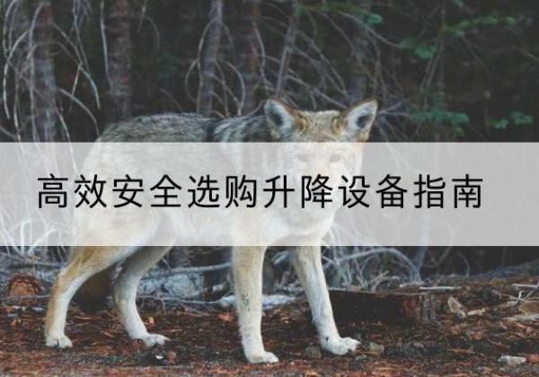 临清升降货梯厂家推荐-*安全选购升降设备指南