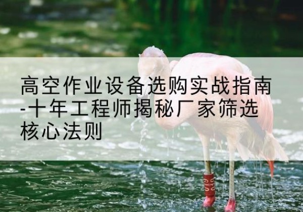 临清剪叉式升降机厂家-高空作业设备选购实战指南-十年工程师揭秘厂家筛选核心法则